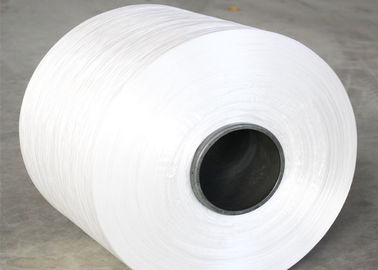 Chine Le blanc cru a tordu les hauts fils de polyesters texturisés de ténacité 630D pour le tube fournisseur
